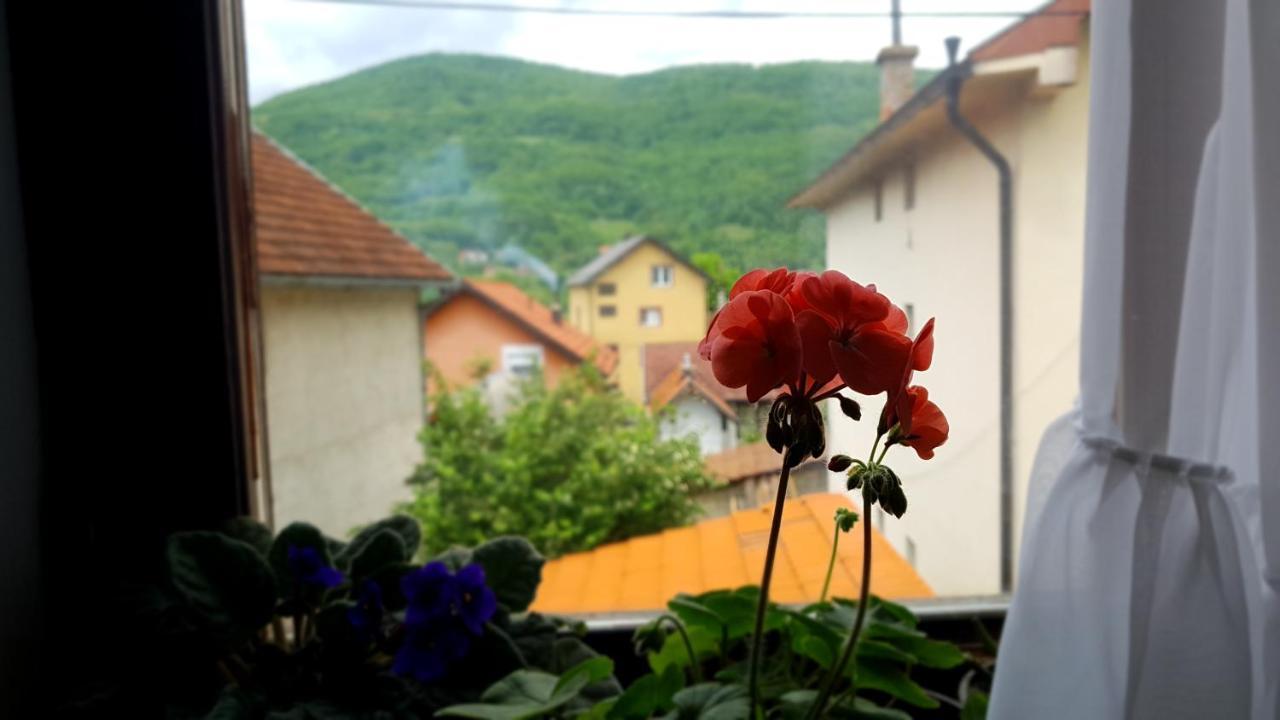 Apartman Jovanovic Bajina Basta Exterior photo